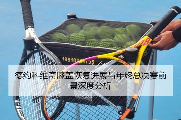 德约科维奇膝盖恢复进展与年终总决赛前景深度分析